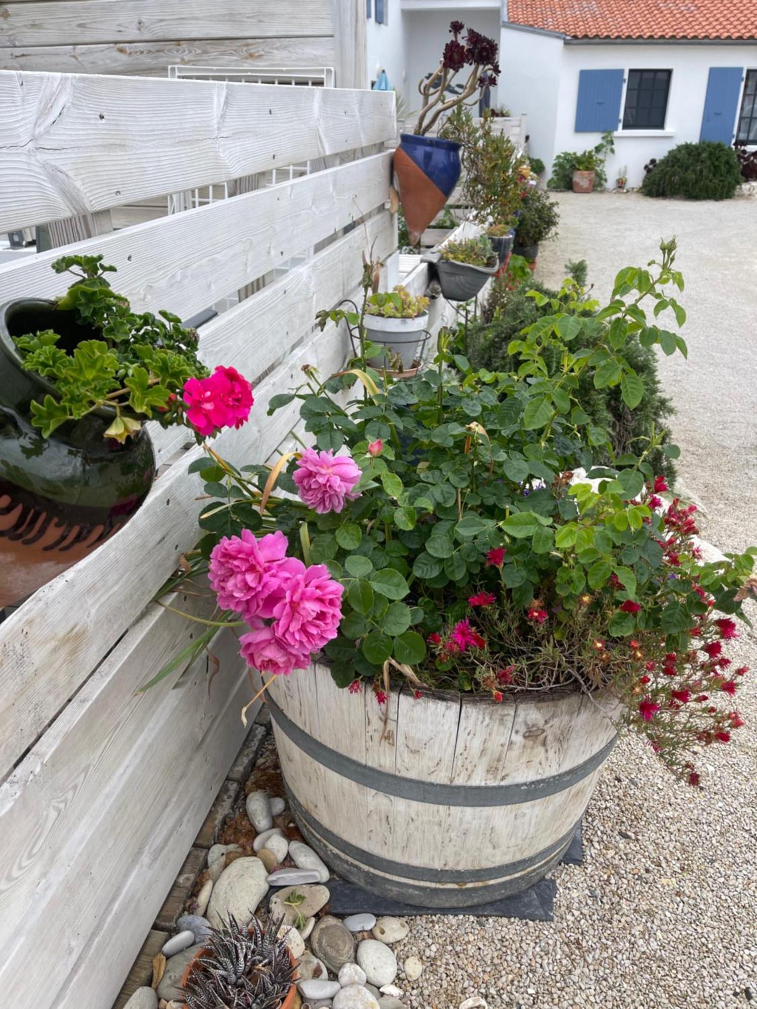 Clos Des Aigrettes -6 Gites De Charme Et Confort A 30M Du Port De La Cotinière Kültér fotó