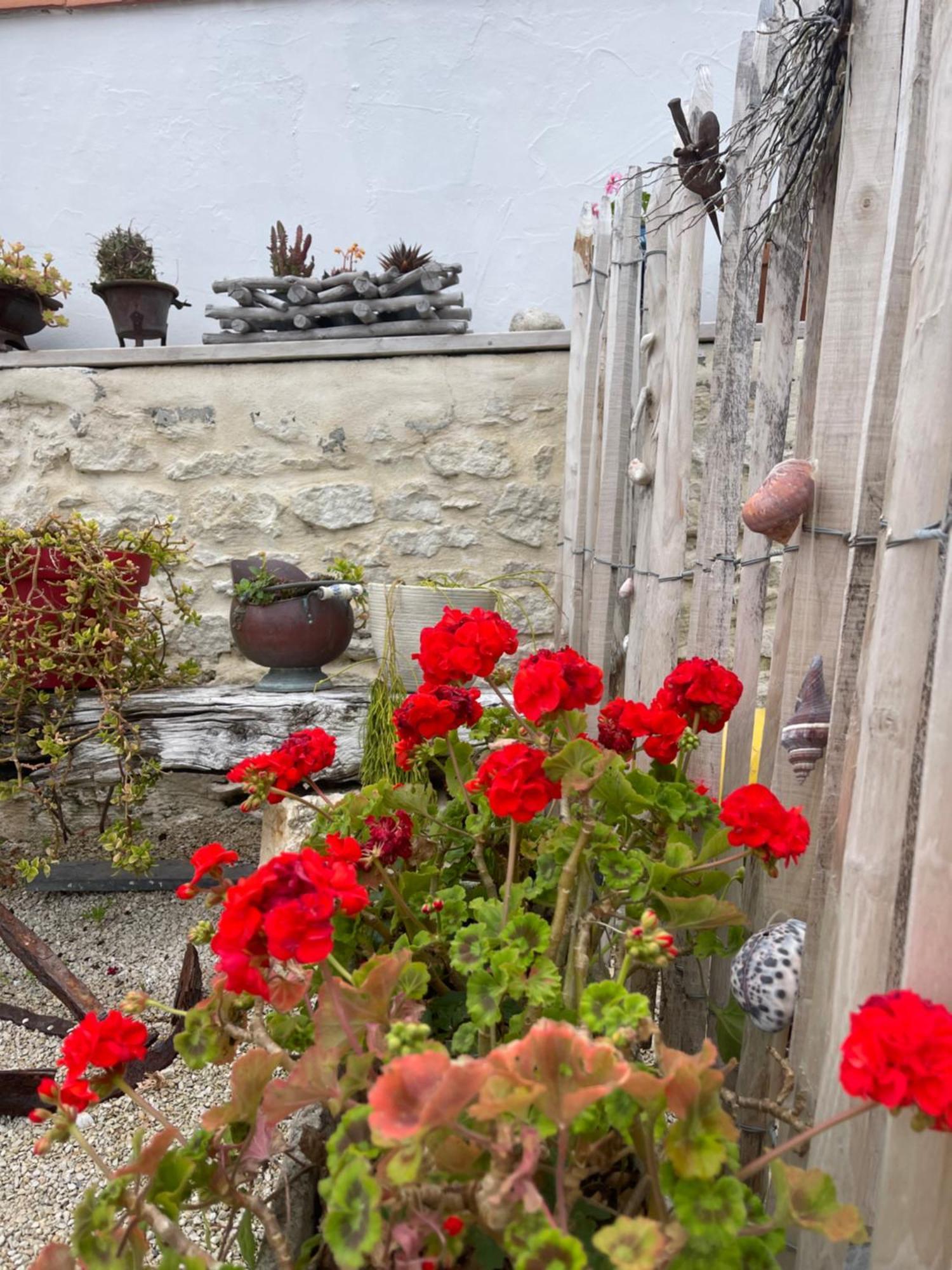 Clos Des Aigrettes -6 Gites De Charme Et Confort A 30M Du Port De La Cotinière Kültér fotó